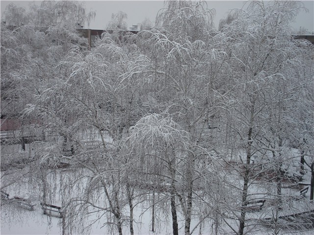 novosti